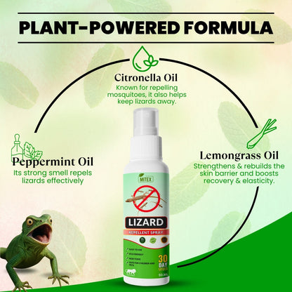 MITEX™ Herbal Lizard Repellent Spray (Pack of 3)